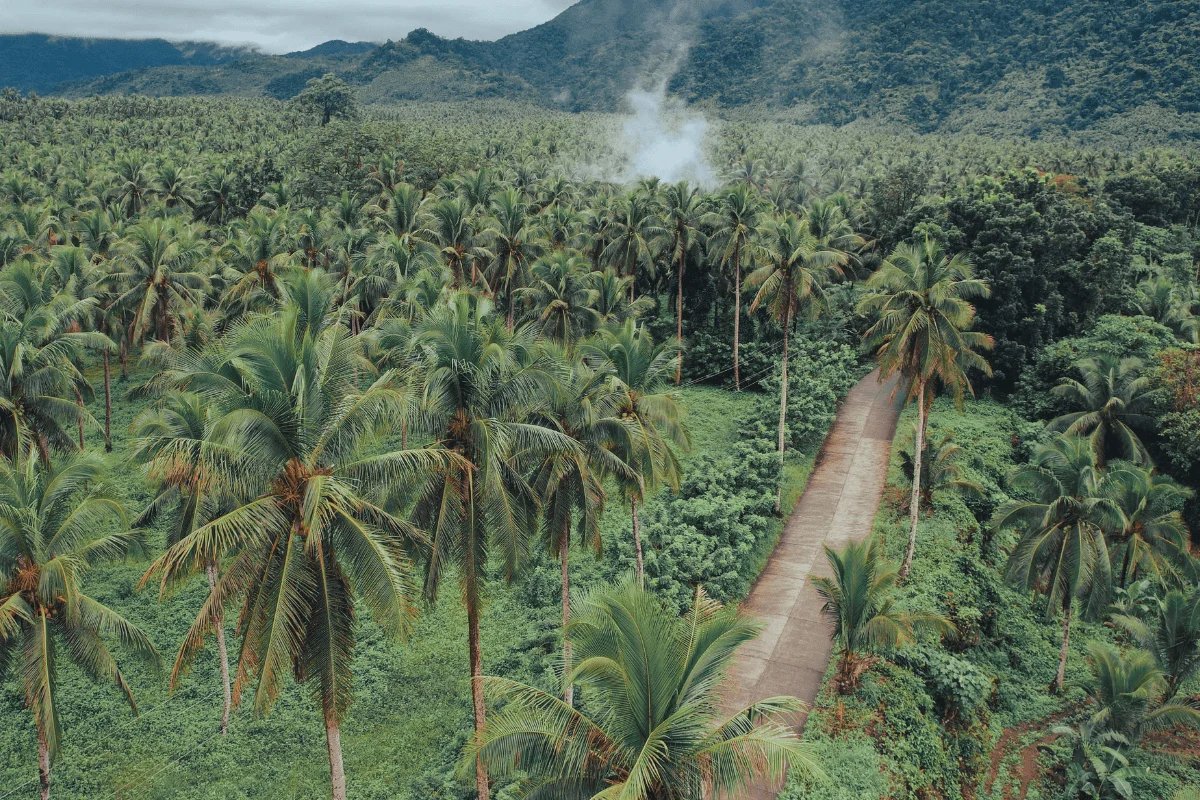 Central Luzon Agrilytics Cover Image